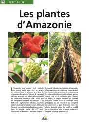 Les plantes d'Amazonie