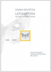 Lepidoptera - Noctuidae