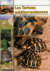 Les tortues méditerranéennes