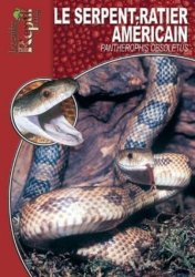 Le serpent ratier