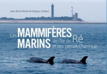 Les mammifères marins de l'île de Ré et des pertuis charentais