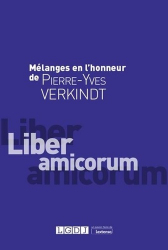 Liber amicorum - Mélanges en l'honneur de Pierre-Yves Verkindt