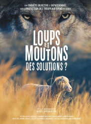 Loups et moutons : des solutions 