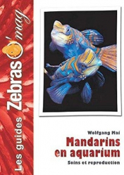 Mandarins en aquarium