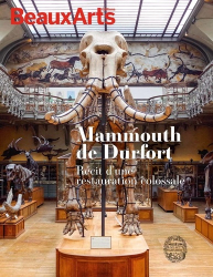 Mammouth de Durfort