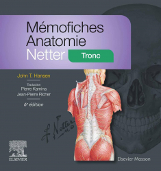 A paraitre de la Editions elsevier / masson : Livres à paraitre de l'éditeur, Mémofiches Anatomie Netter - Tronc