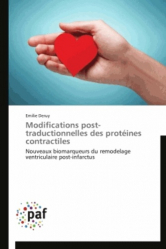 Modifications post-traductionnelles des protéines contractiles