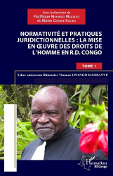 Normativité et pratiques juridictionnelles : la mise en oeuvre des droits de l'Homme en R.D. Congo