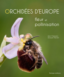 Orchidées d'Europe - Fleur et pollinisation