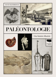 Vous recherchez les meilleures ventes rn Sciences de la Terre, Paléontologie