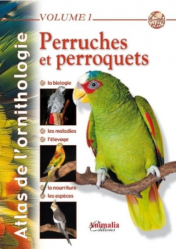 Perruches et perroquets Volume 1
