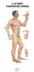 Planches anatomiques des points d'acupuncture des 14 méridiens et des points hors méridiens