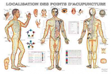 Planche de localisation des points d'acupuncture
