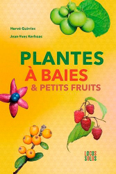 Plantes à baies et petits fruits