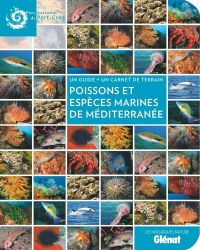 Poissons et espèces marines en Méditerranée