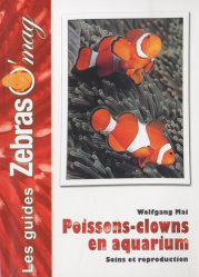 Poissons-clowns en aquarium