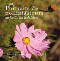 Portraits de pollinisateurs au jardin du Belvédère