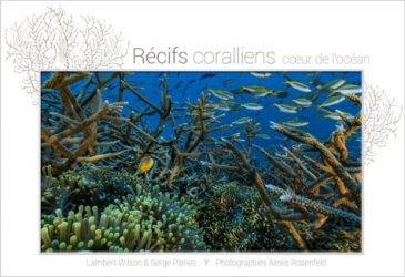 Récifs coralliens, coeur de l'océan