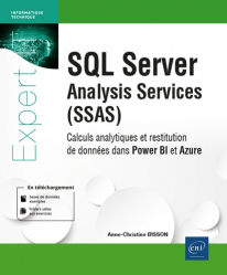 SQL Server Analysis Services (SSAS)