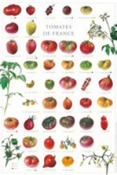 En promotion de la Editions gulf stream éditeur images : Promotions de l'éditeur, Affiche Tomates de France