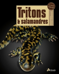 Tritons & Salamandres