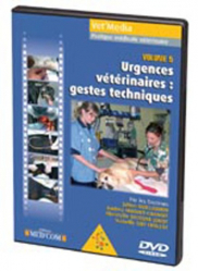 Urgences vétérinaires : gestes techniques