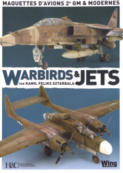 Warbirds et jets