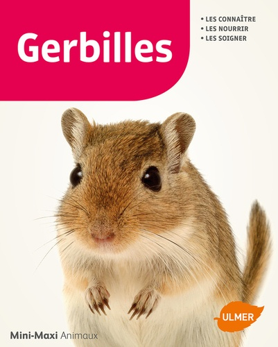 Gerbilles Les Connaitre Les Nourrir Les Soigner Ulmer