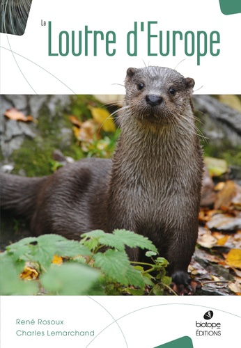 La Loutre D Europe Rosoux Rene Biotope